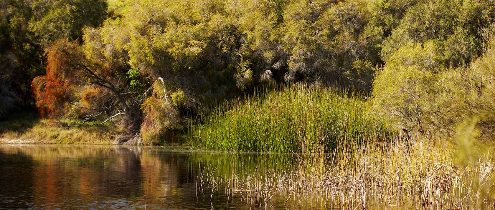 Environment Management System